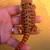 Bearded Dragon 2 thumbnail