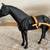 Ghirardelli Covered Wagon With Horse 10 thumbnail