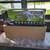 Roboraptor remote controlled dinosaur 32" New 1 thumbnail
