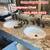 Plumber Same Day Service 8 thumbnail