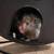 Male Syrian long haired hamster 4 thumbnail