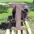 Fanning Mill 5 thumbnail
