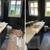 🛠J&T POST CONSTRUCTION CLEANING DETAIL ORIENTED EFFICIENT RELIABLE✨ 8 thumbnail