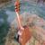 Taylor GSmini 14 thumbnail
