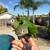 Parrots 3 thumbnail