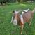 Full sized goats 2 thumbnail