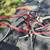 10 speed bike 2 thumbnail