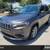 2019 Jeep Cherokee  Latitude Plus SUV 1 thumbnail