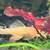 Fish 3 thumbnail