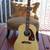 Epiphone USA Texan 3 thumbnail
