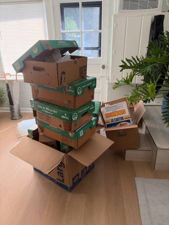 Cajas de cartón y materiales de embalaje gratuitos