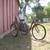 3 weel bike Schwinn 6 thumbnail