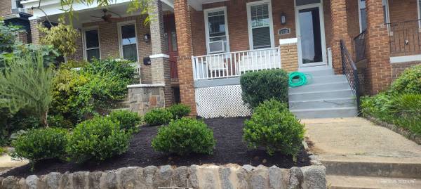 "Arturo" Landscaping 1