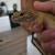 Reptile cage package 12 thumbnail