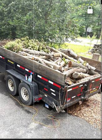 Free firewood 1