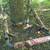 Summit Viper Elite Tree Stand SD 4 thumbnail
