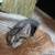 Kittens and cats 1 thumbnail