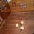 Stickley Solid Cherry Dining Room Set - Beautiful! 12 thumbnail