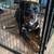 AKC female rottweiler 3 thumbnail