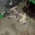 Hydrostat/rearend For John Deere X Series AWS 1 thumbnail