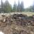 Compost Available 1 thumbnail