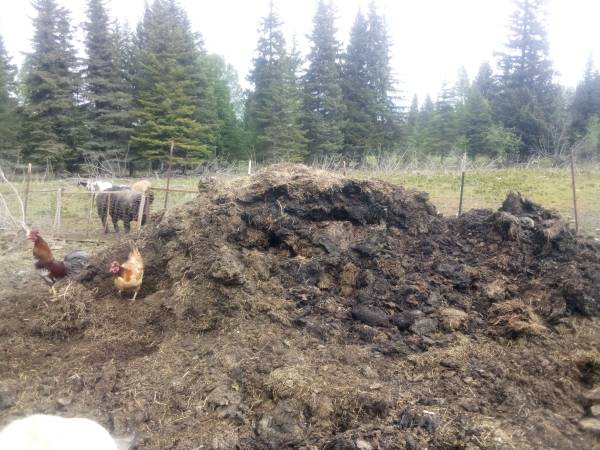 Compost Available 1