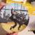 Hamilton Collectible Plates Motorcycles and Elvis 7 thumbnail