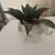Decorative Cermanic Artificial Elephant Planter 3 thumbnail