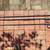 Cowboy/ chuckwagon cook set 1 thumbnail