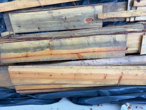 Beetle kill pine board many different size’s & lengths with live edge 1