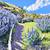 Alex Nizovsky - Fort Baker Trail - Modern Landscape Painting 30"x24" 1 thumbnail