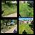 Need Mulch Laying, Seeding, Brush Clearing or Aeration? CALL GLENN! 10 thumbnail