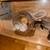 Syrian teddy bear hamster cage and supplies 1 thumbnail