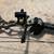 compound bow - BEAR ATTACK model RH 6 thumbnail