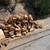 Monterey Cypress and Monterey Pine Firewood 2 thumbnail