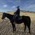 2005 Thoroughbred Gelding 9 thumbnail