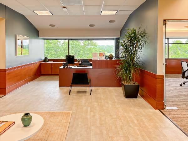 Work from Anywhere. Virtual Office just $215 1