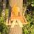 Squirrel feeder 2 thumbnail