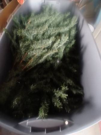 Large Christmas Tree 1