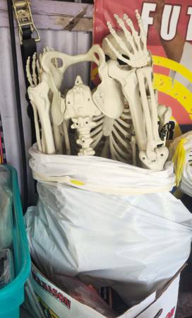 Large hanging skelaton 1