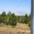 Single-level home on 2.31 private acres with stunning Cascade views. 3 thumbnail