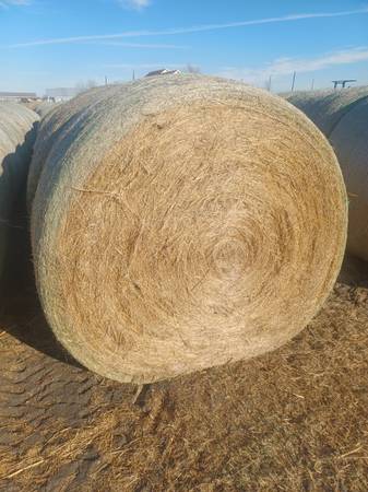 Round Bales Hay 1