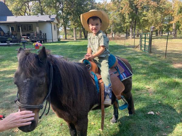 Pony 1