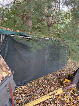 Dog pen 1