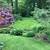 Pachysandra Ground Cover plants 1 thumbnail