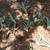 Blue agave(Century plant) 10 thumbnail