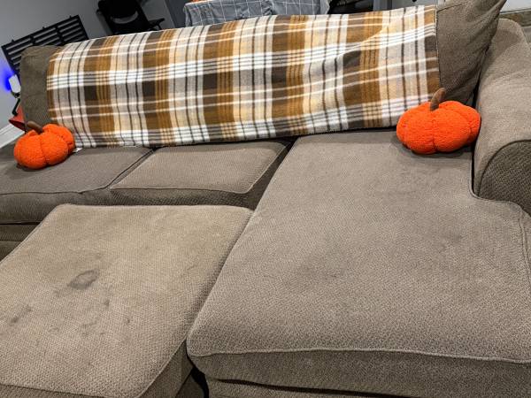 Brown couches 1