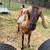 Mini Nubian Doe 1 thumbnail