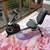 Exercise Bike 1 thumbnail