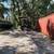 **bobcat services ** grading,tree,French drain,sod,trash 1 thumbnail